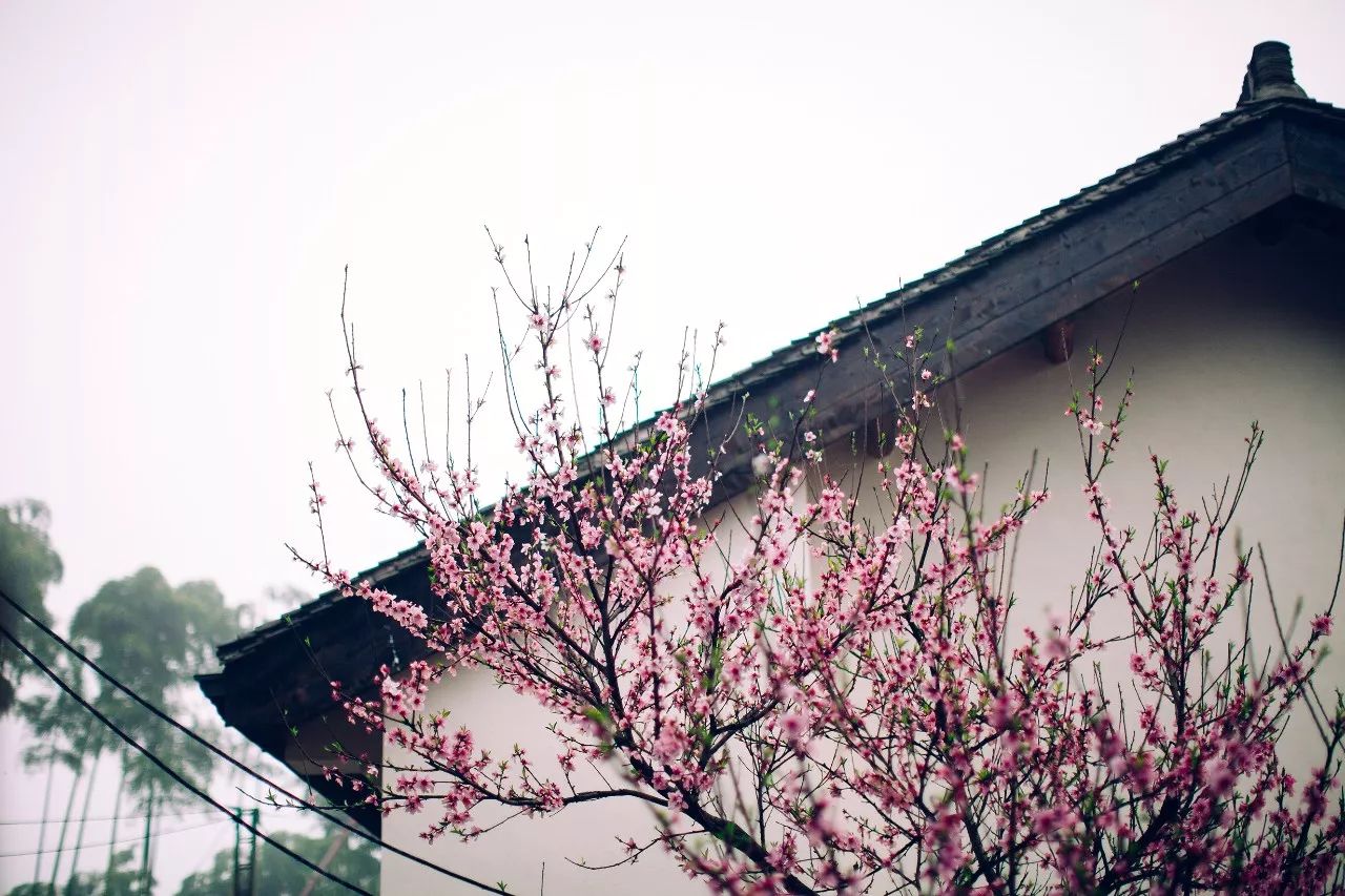 莫干山·三秋美宿，一日不見(jiàn)三秋盼兮