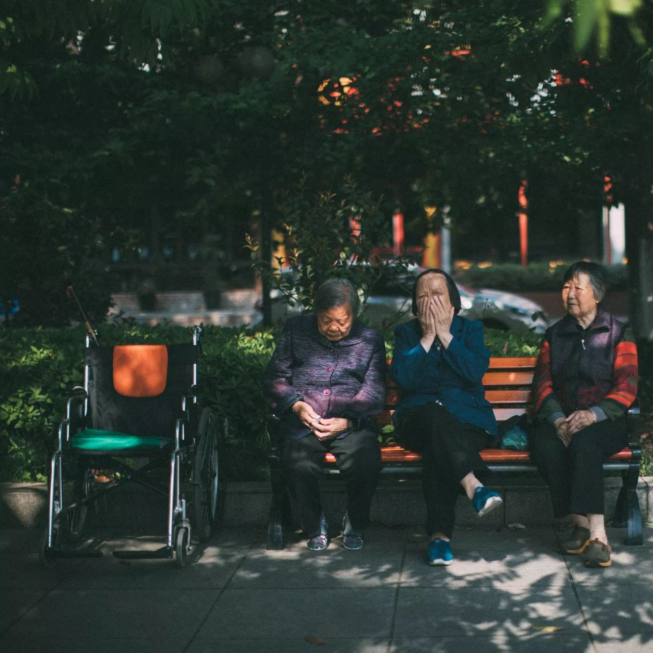 莫干山·三秋美宿，一日不見三秋盼兮