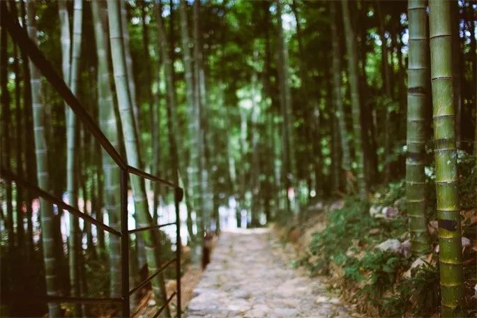 莫干山·三秋美宿，一日不見三秋盼兮