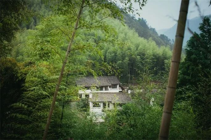 莫干山·三秋美宿，一日不見三秋盼兮