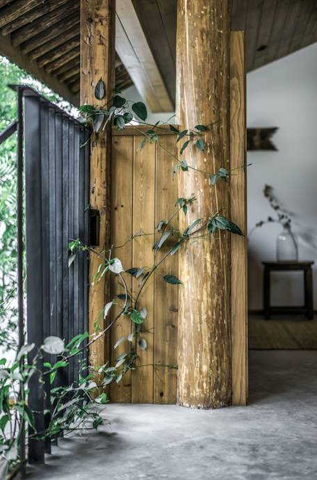 大理古城·果念，按照自己喜歡的方式活著