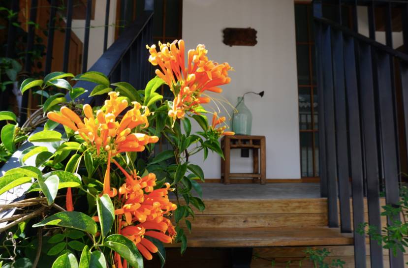 大理古城·果念，按照自己喜歡的方式活著