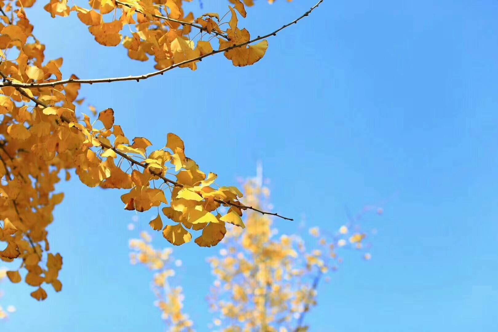 大理洱?！w心，歸心看海煙雨江南