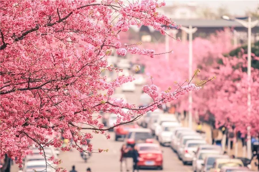 大理洱?！w心，歸心看海煙雨江南