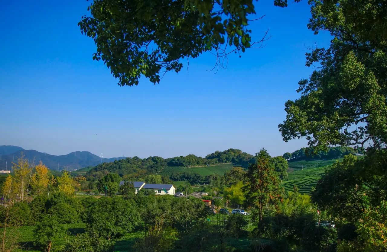 杭州·長鏡頭，一所電影時光主題民宿