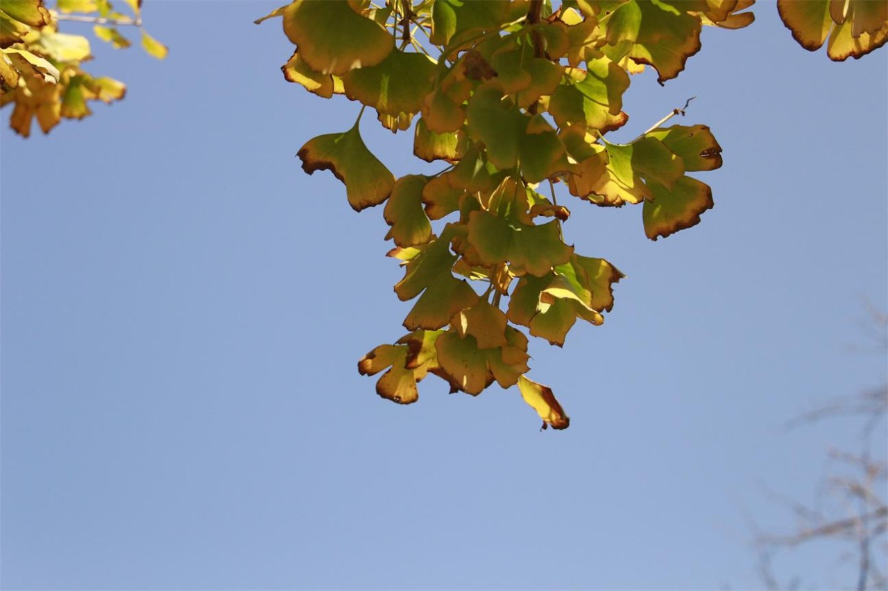 杭州·長鏡頭，一所電影時光主題民宿