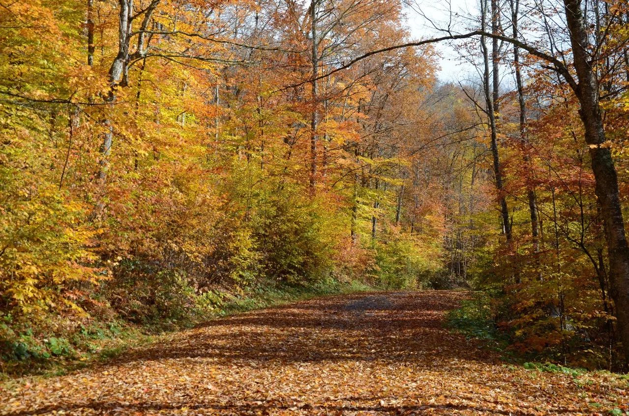 杭州·長鏡頭，一所電影時光主題民宿