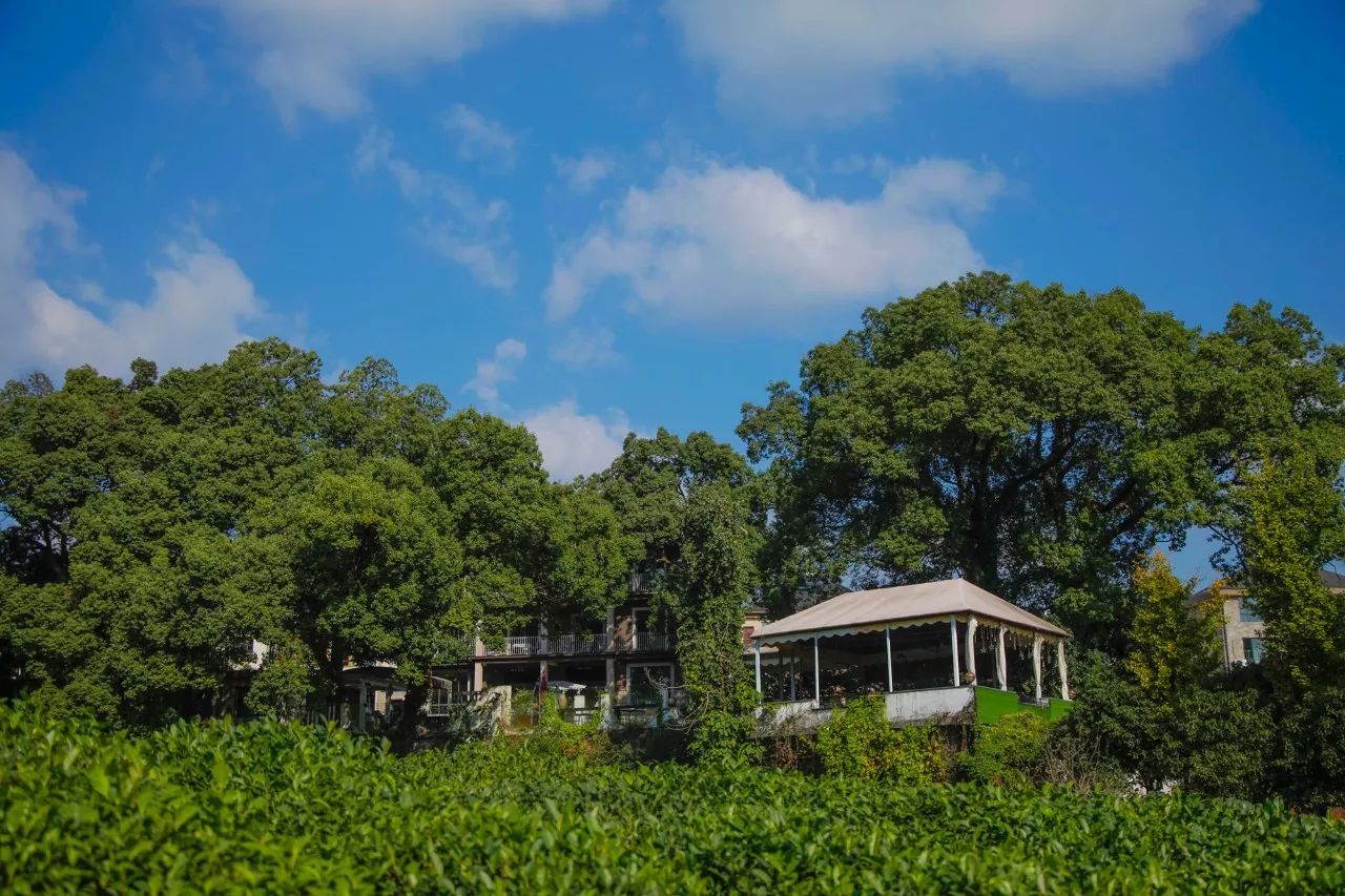 杭州·長(zhǎng)鏡頭，一所電影時(shí)光主題民宿