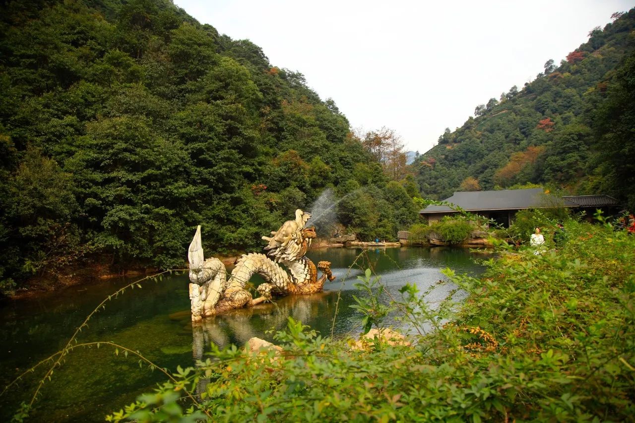 杭州·長鏡頭，一所電影時光主題民宿