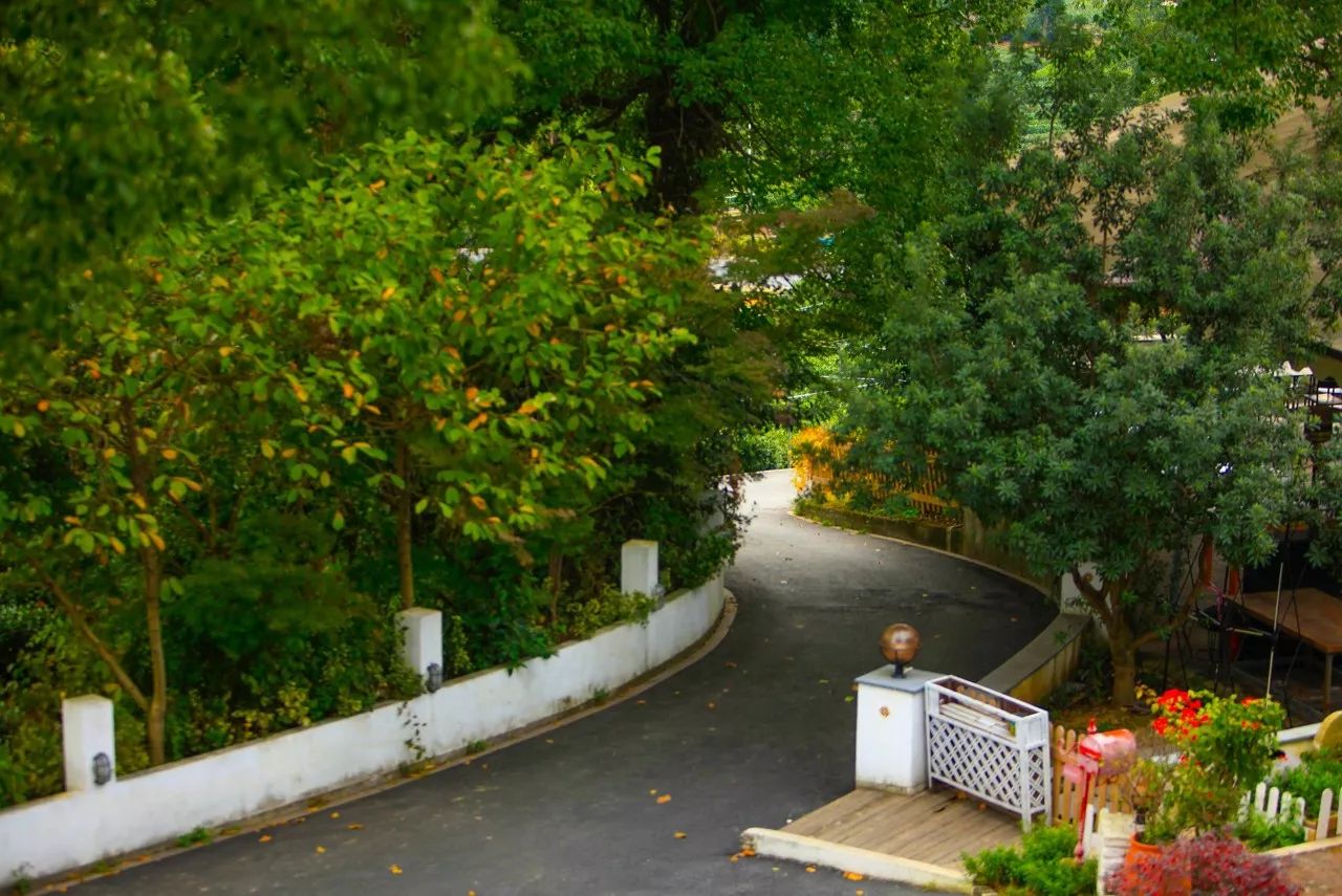 杭州·長鏡頭，一所電影時光主題民宿