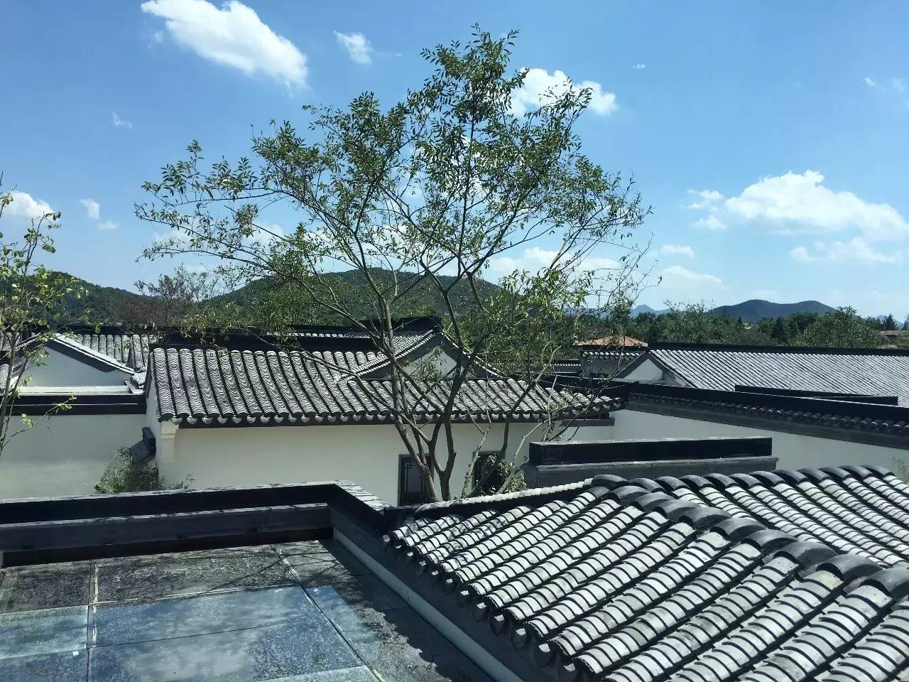 10所綠城·中式宅院，何必羨“西風”中式乃最美