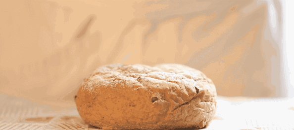 零搟健康面包店，講究不將就