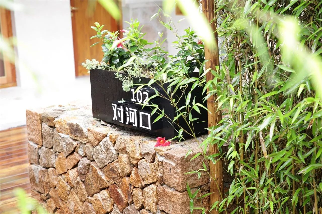 莫干山·西璞，睡進(jìn)梵高的畫(huà)里