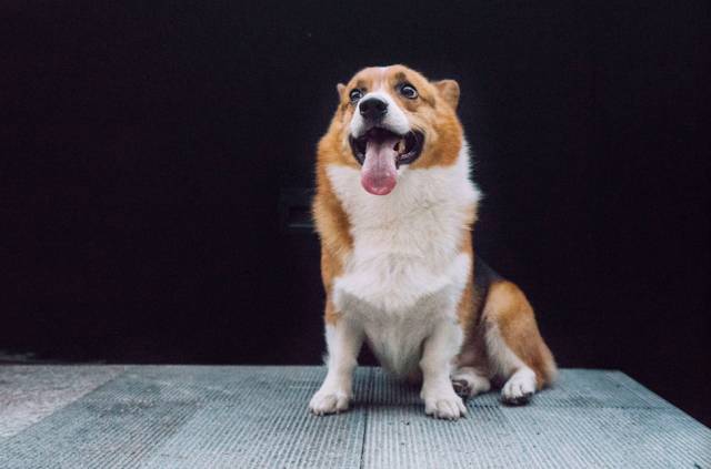 杭州·簡(jiǎn)象，一種別樣的復(fù)古情調(diào)