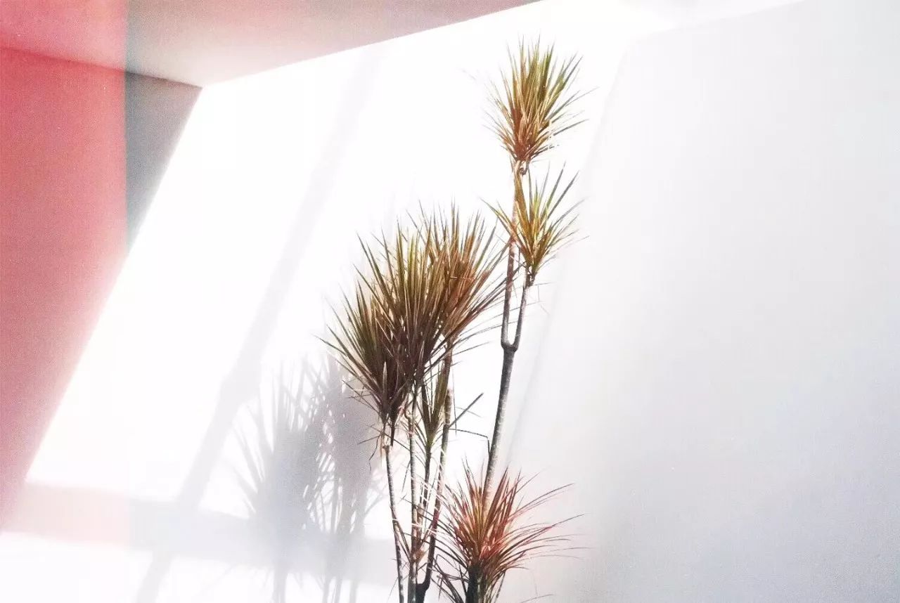 杭州·簡(jiǎn)象，一種別樣的復(fù)古情調(diào)