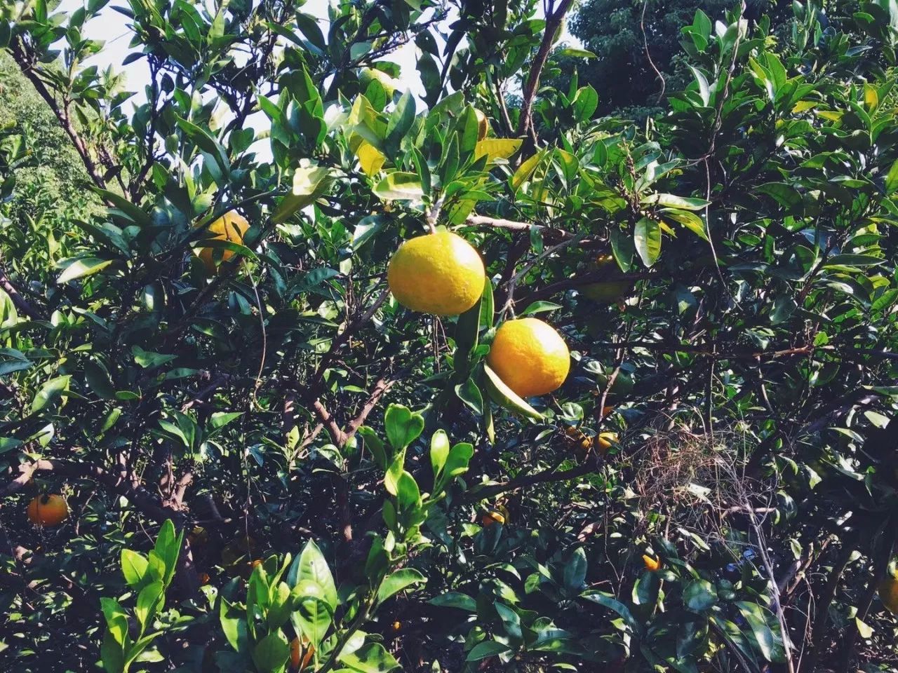 浙江海寧·名力朗豪酒店，十八般武藝帶你上天