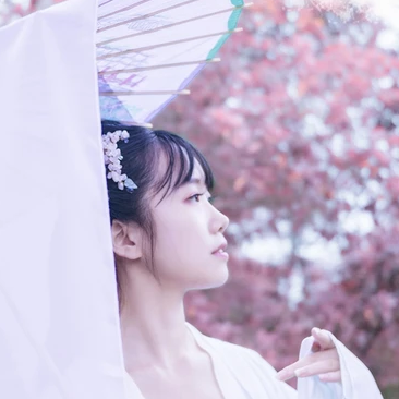 粉紫小清新帶團(tuán)扇傘頭像，唯美古風(fēng)真人頭像
