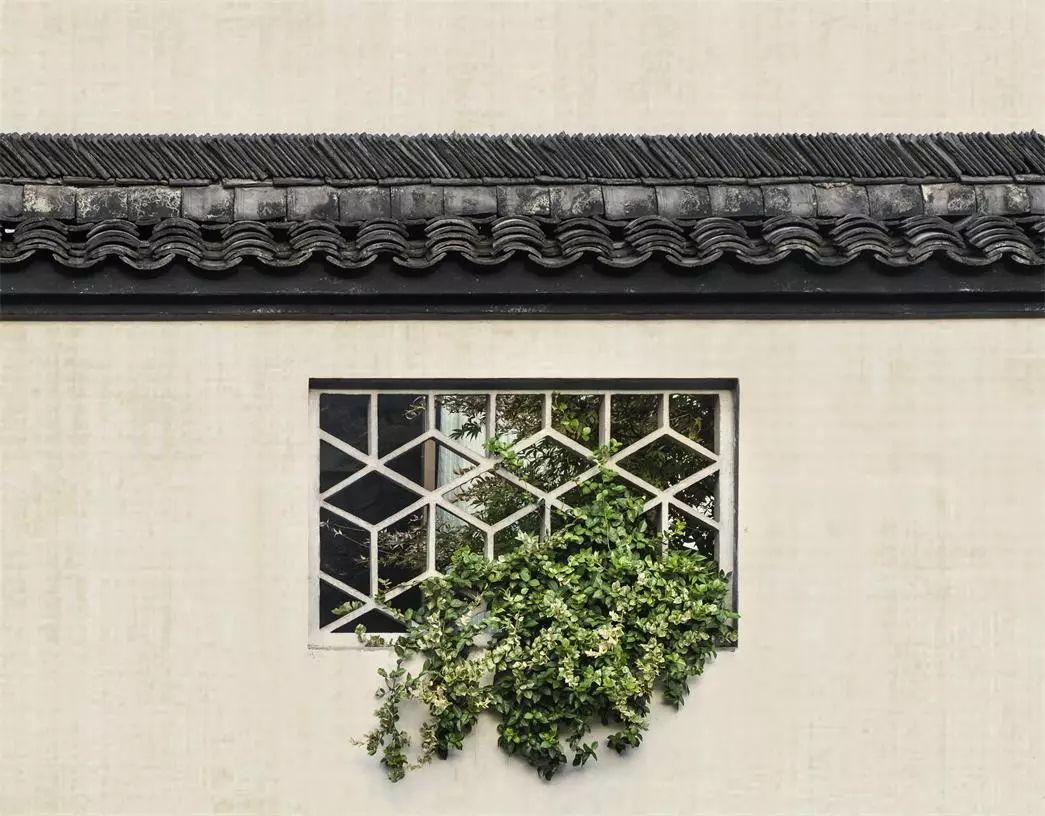 蘇州·七隱藝宿家，給這座姑蘇古城一個(gè)恣意江湖