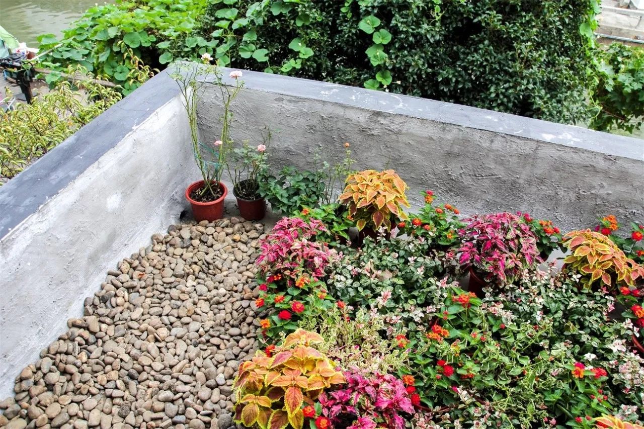 蘇州·七隱藝宿家，給這座姑蘇古城一個(gè)恣意江湖