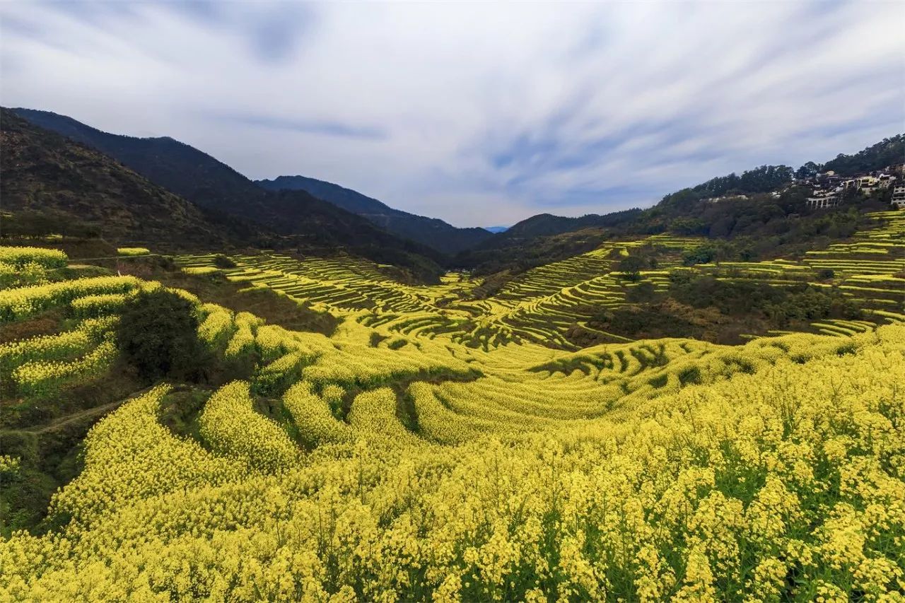 婺源·物上，平淡溫柔別有滋味