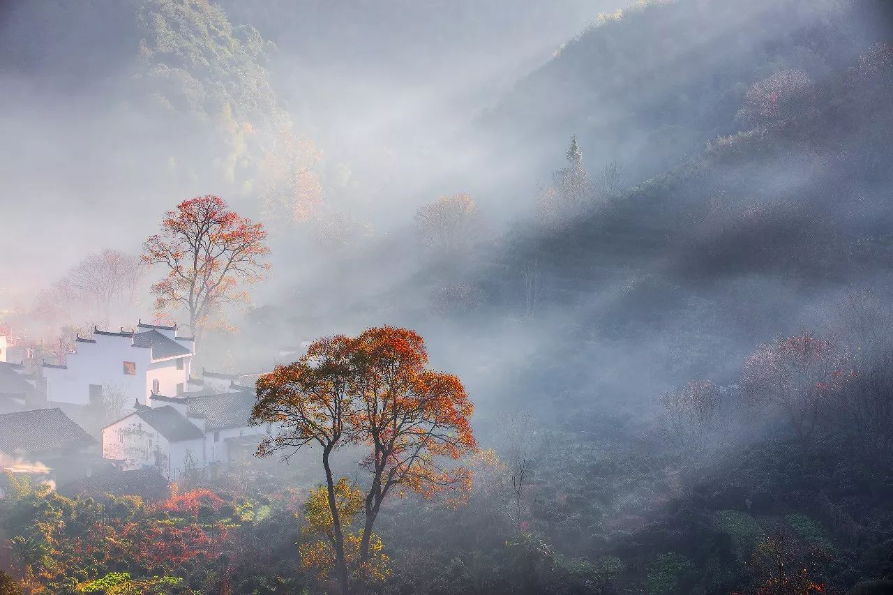 婺源·物上，平淡溫柔別有滋味