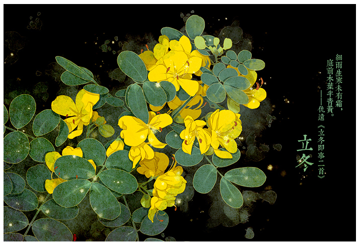 唯美的24節(jié)氣花卉插畫(huà)，品味古老的詩(shī)之清韻
