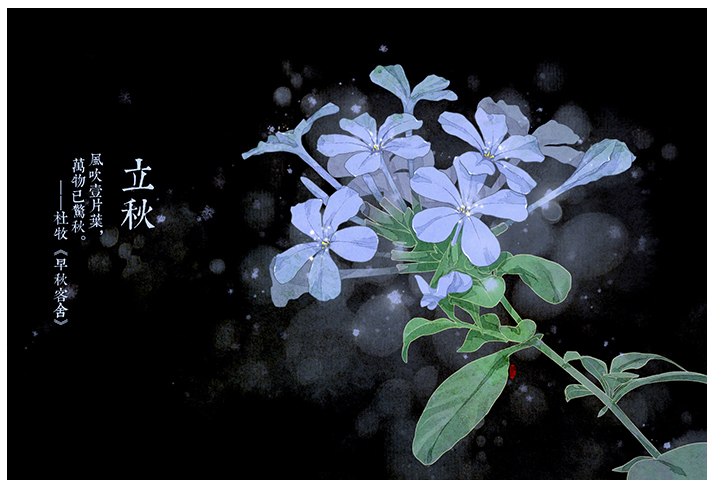 唯美的24節(jié)氣花卉插畫，品味古老的詩之清韻