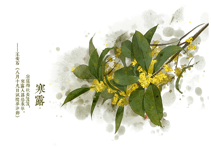 唯美的24節(jié)氣花卉插畫，品味古老的詩之清韻