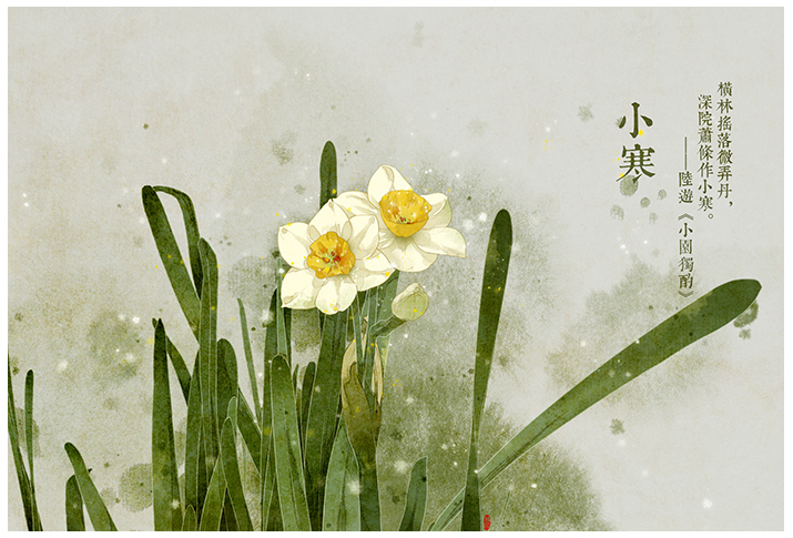 唯美的24節(jié)氣花卉插畫(huà)，品味古老的詩(shī)之清韻