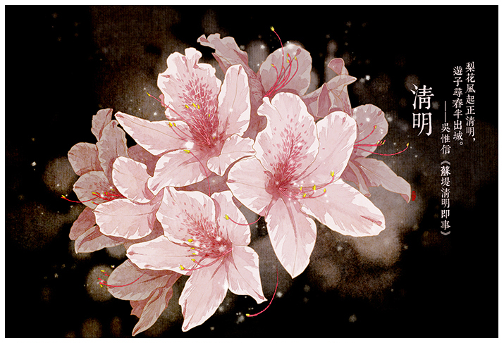 唯美的24節(jié)氣花卉插畫(huà)，品味古老的詩(shī)之清韻