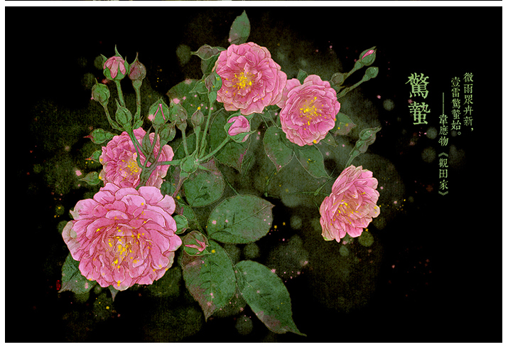 唯美的24節(jié)氣花卉插畫(huà)，品味古老的詩(shī)之清韻