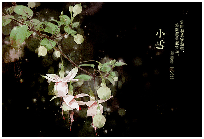 唯美的24節(jié)氣花卉插畫(huà)，品味古老的詩(shī)之清韻