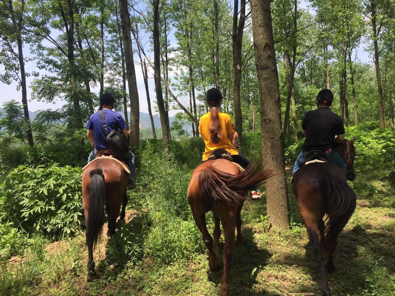 桐廬·流云，古村也有了云的靈動(dòng)氣息