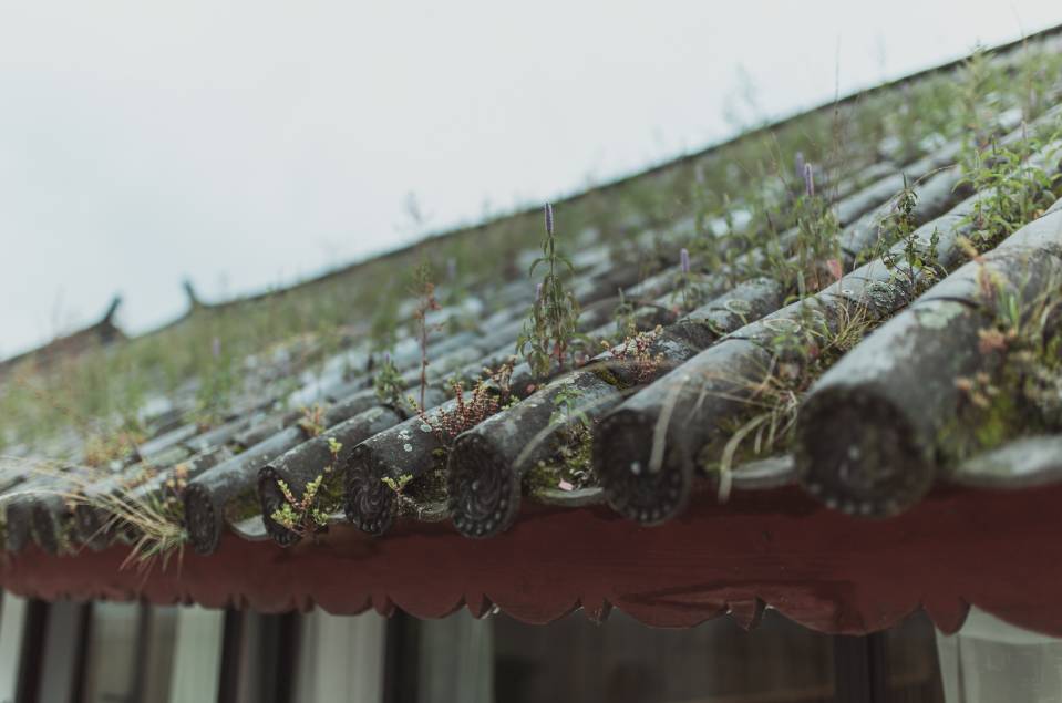 大理·無字號，背靠蒼山面朝洱海虛度時光