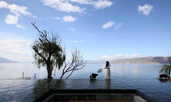 大理·無(wú)字號(hào)，背靠蒼山面朝洱海虛度時(shí)光