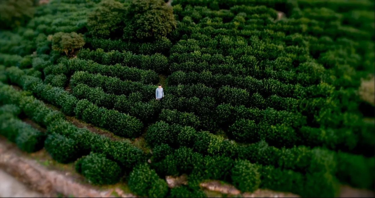 蘇州·天易居，西山鎮(zhèn)獨居一隅宛如桃源