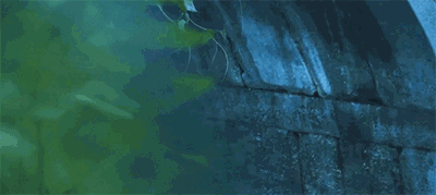 西塘·大舍客棧，自舍己樂(lè)施于他人是名大舍