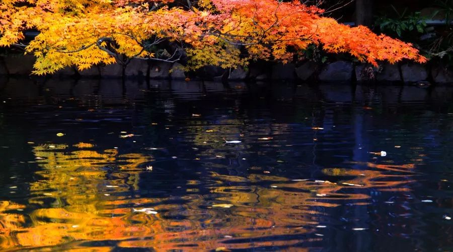 茶隱·喜在山舍，上有茶山下有九溪肆意虛度生活