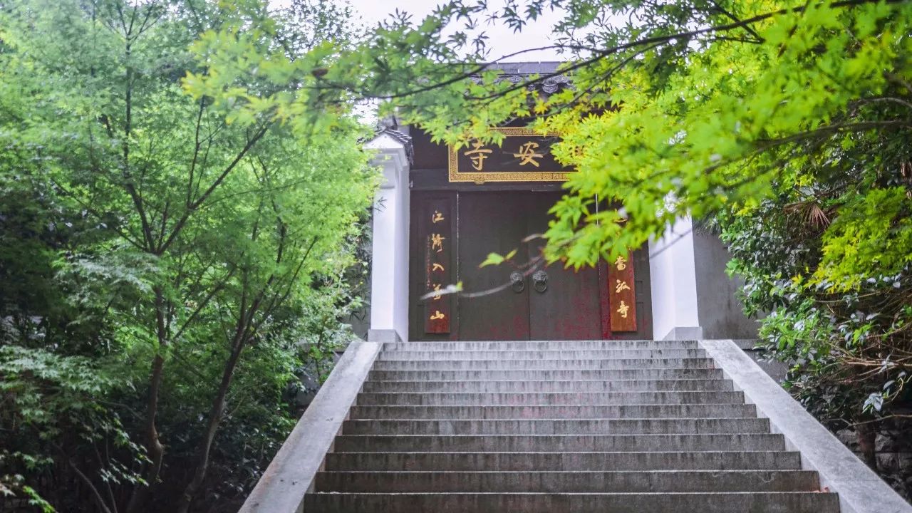 茶隱·喜在山舍，上有茶山下有九溪肆意虛度生活