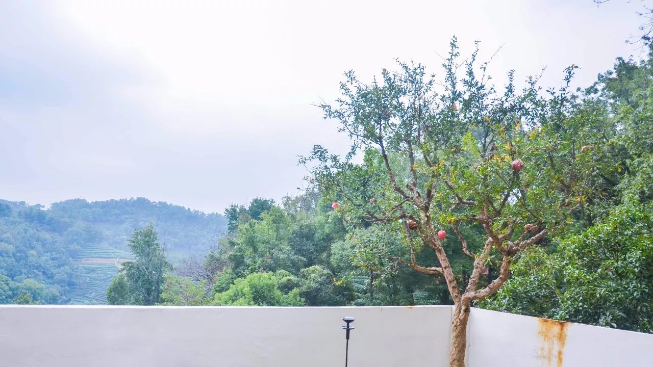 茶隱·喜在山舍，上有茶山下有九溪肆意虛度生活