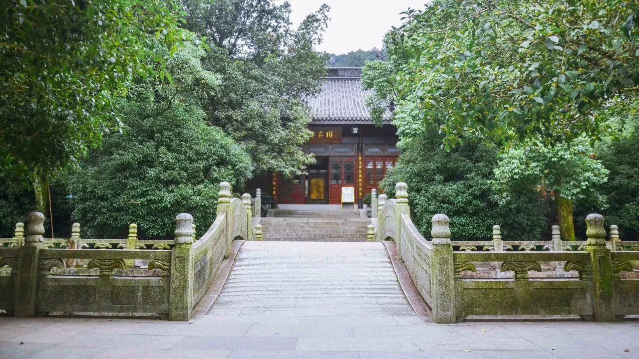 茶隱·喜在山舍，上有茶山下有九溪肆意虛度生活