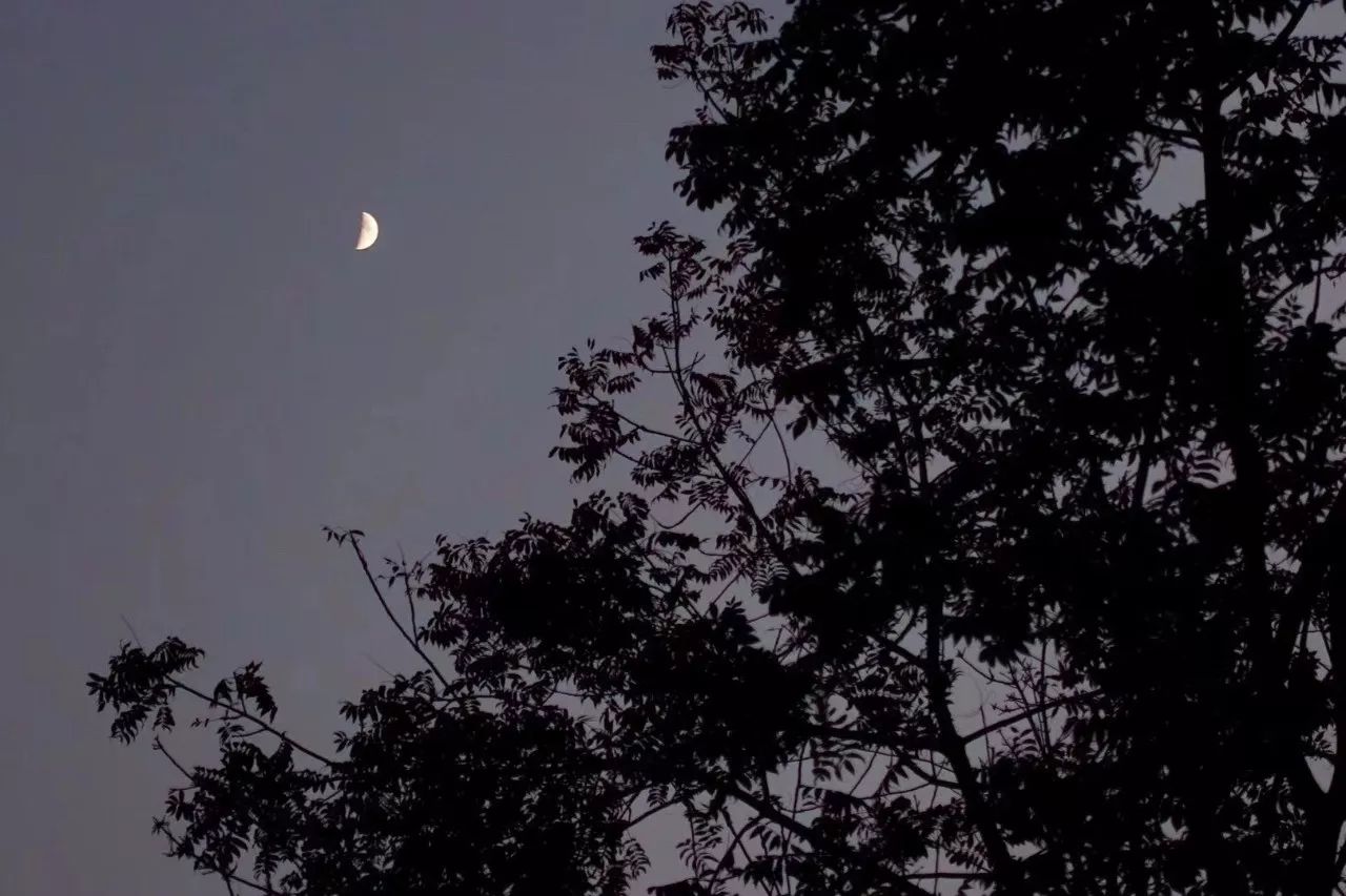 茶隱·喜在山舍，上有茶山下有九溪肆意虛度生活