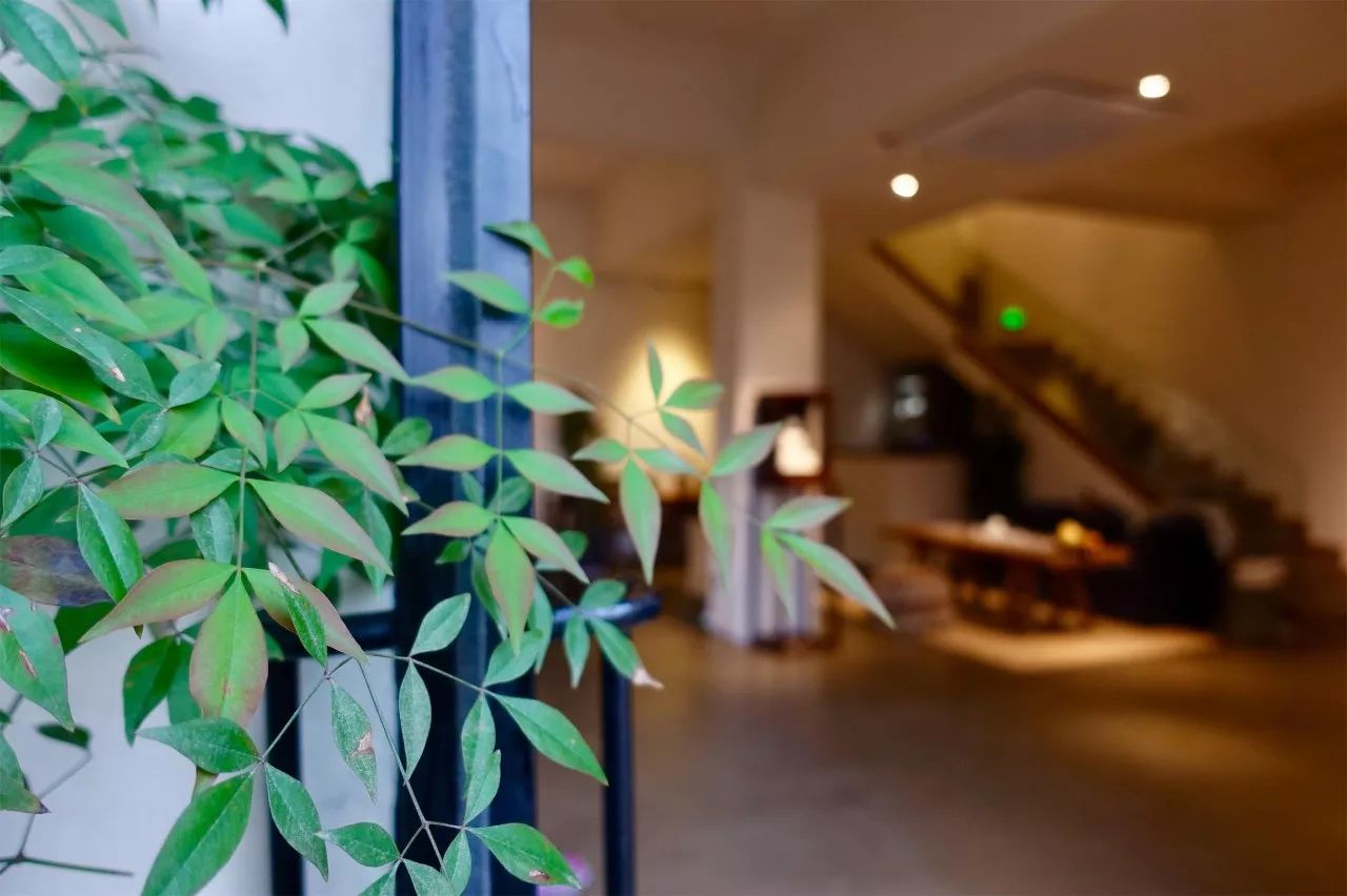 茶隱·喜在山舍，上有茶山下有九溪肆意虛度生活