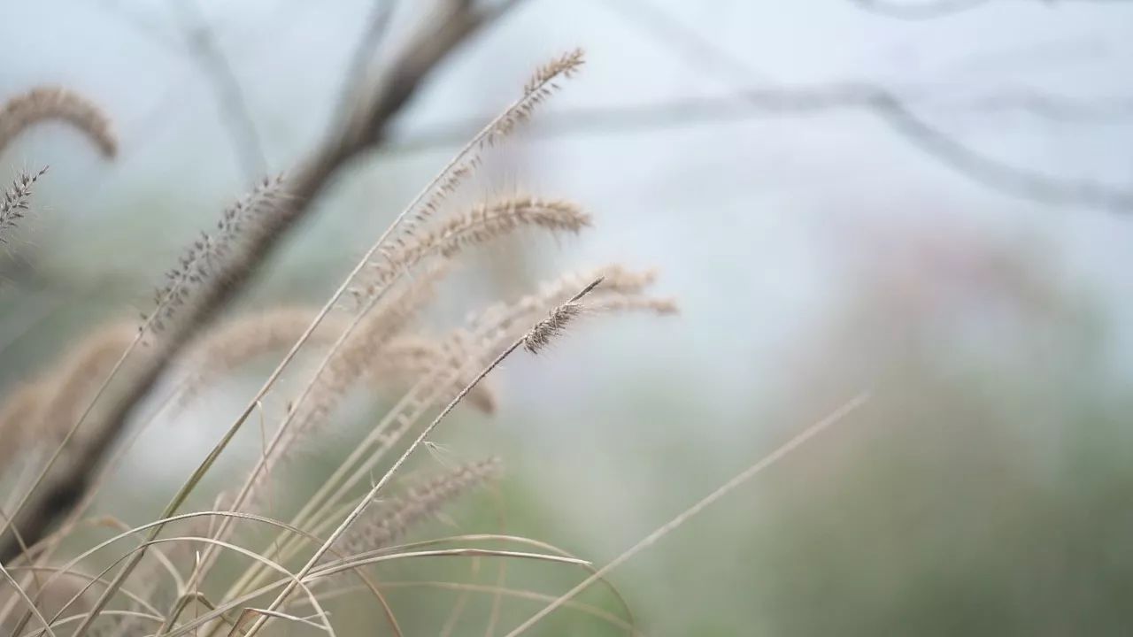 桐廬·云溪上，想要大片的田園被云朵環(huán)繞!