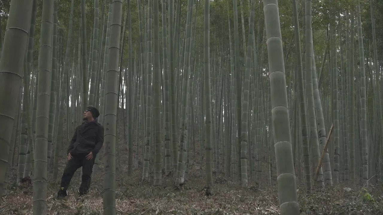 桐廬·云溪上，想要大片的田園被云朵環(huán)繞!