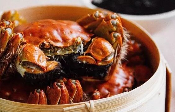 蘇州·泊悅灣，城市鄉(xiāng)村間人們何嘗不是兩棲動物