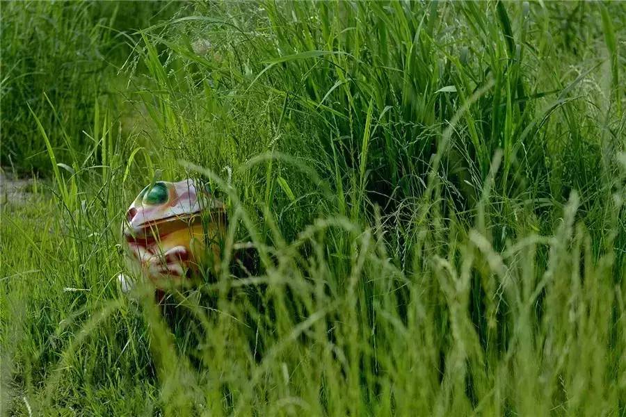 蘇州·泊悅灣，城市鄉(xiāng)村間人們何嘗不是兩棲動(dòng)物