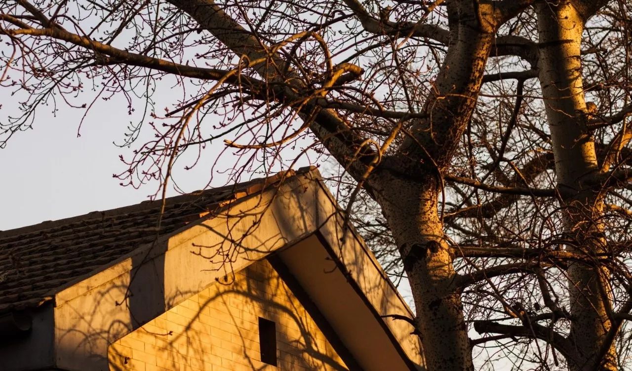 蘇州·泊悅灣，城市鄉(xiāng)村間人們何嘗不是兩棲動(dòng)物