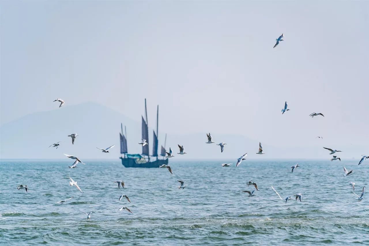 蘇州·泊悅灣，城市鄉(xiāng)村間人們何嘗不是兩棲動(dòng)物