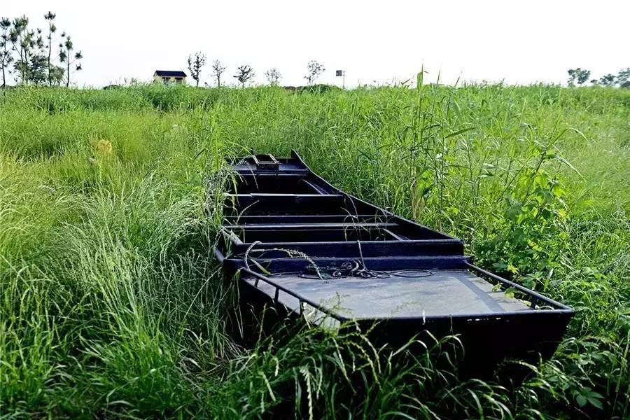 蘇州·泊悅灣，城市鄉(xiāng)村間人們何嘗不是兩棲動物